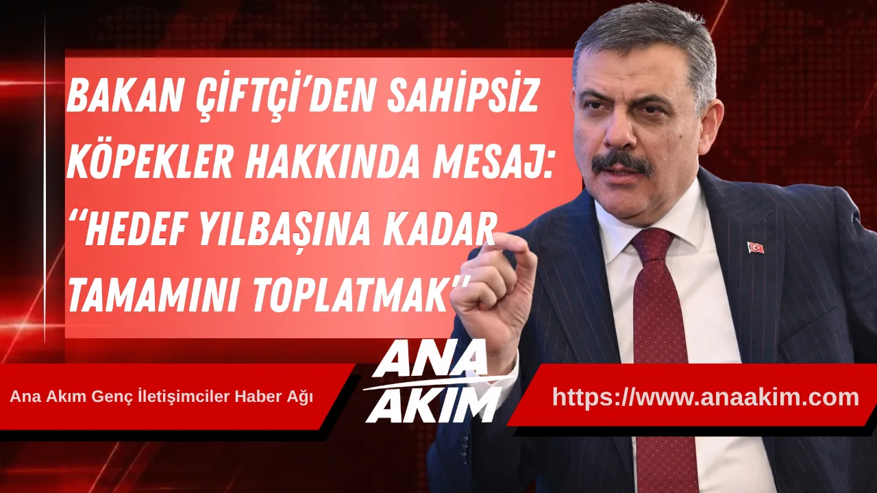 İçişleri Bakanı Çiftçi’den Sahipsiz Köpekler Hakkında Net Mesaj: “Hedef Yılbaşına Kadar Tamamını Toplatmak”