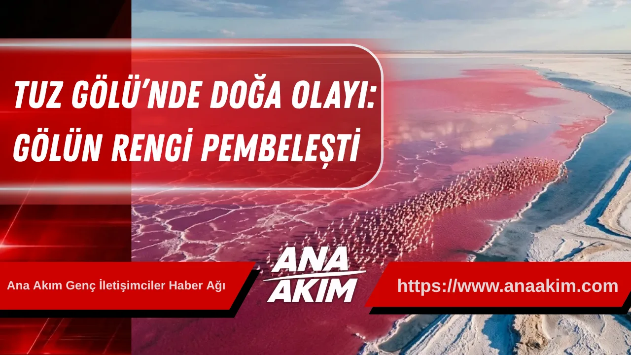 Tuz Gölü’nde Doğa Olayı: Gölün Rengi Pembeleşti