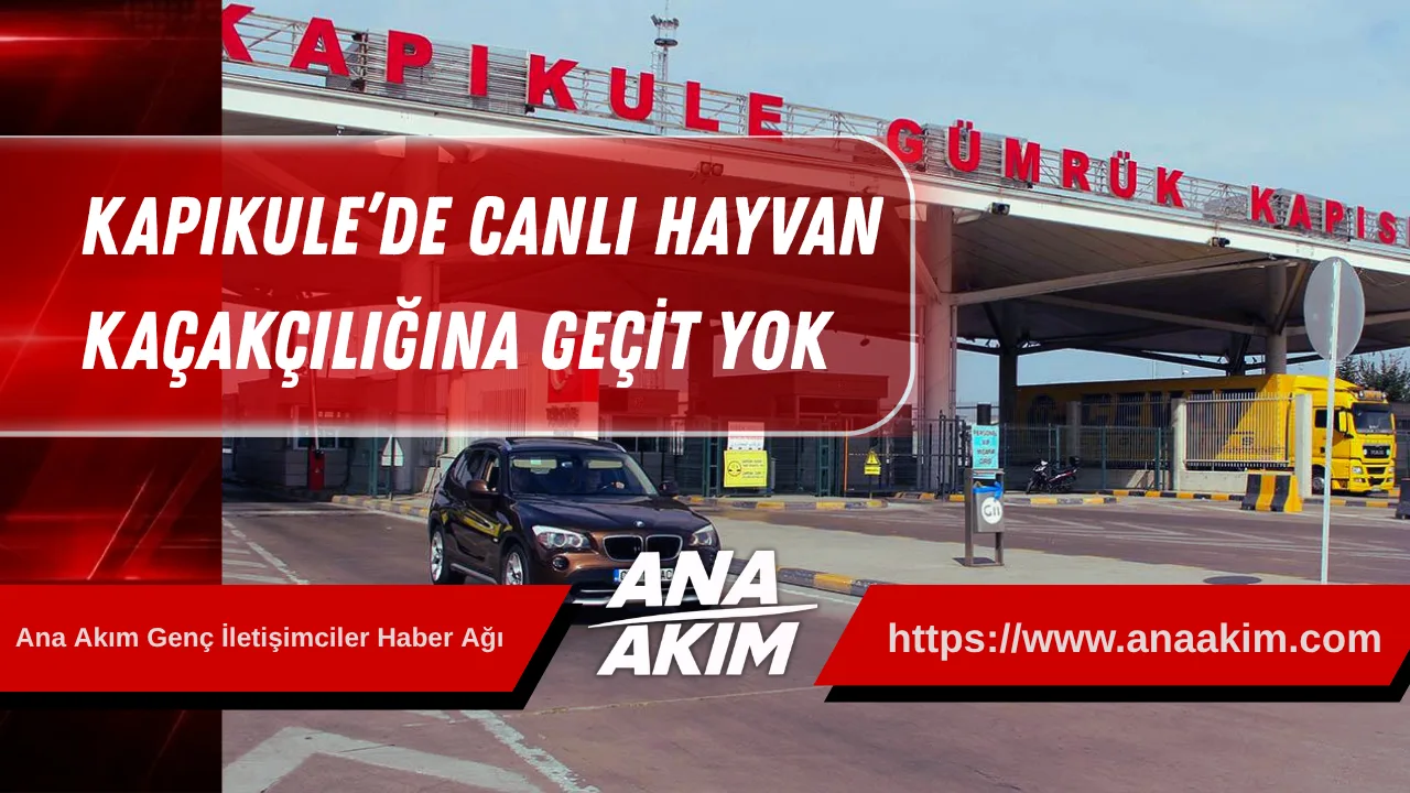 Kapıkule’de Canlı Hayvan Kaçakçılığına Geçit Yok