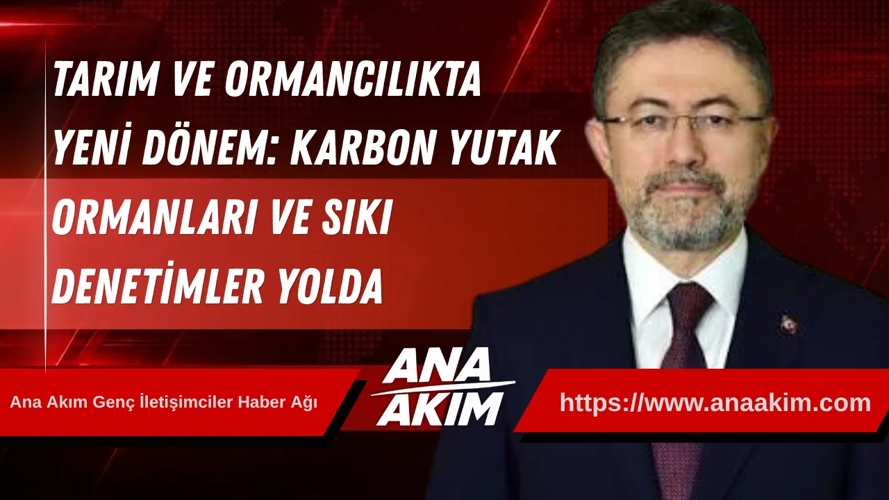 Tarım ve Ormancılıkta Yeni Dönem: Karbon Yutak Ormanları ve Sıkı Denetimler Yolda