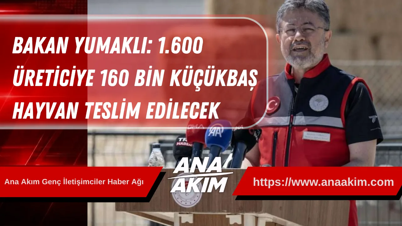 Bakan Yumaklı: 1.600 Üreticiye 160 Bin Küçükbaş Hayvan Teslim Edilecek