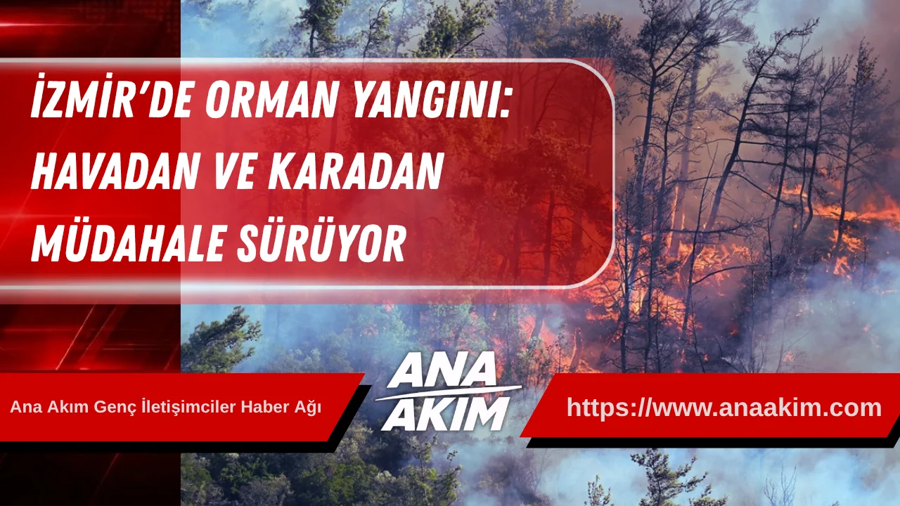 İzmir'de Orman Yangını: Havadan ve Karadan Müdahale Sürüyor