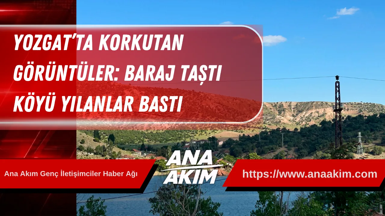 Yozgat’ta Korkutan Görüntüler: Baraj Taştı, Köyü Yılanlar Bastı