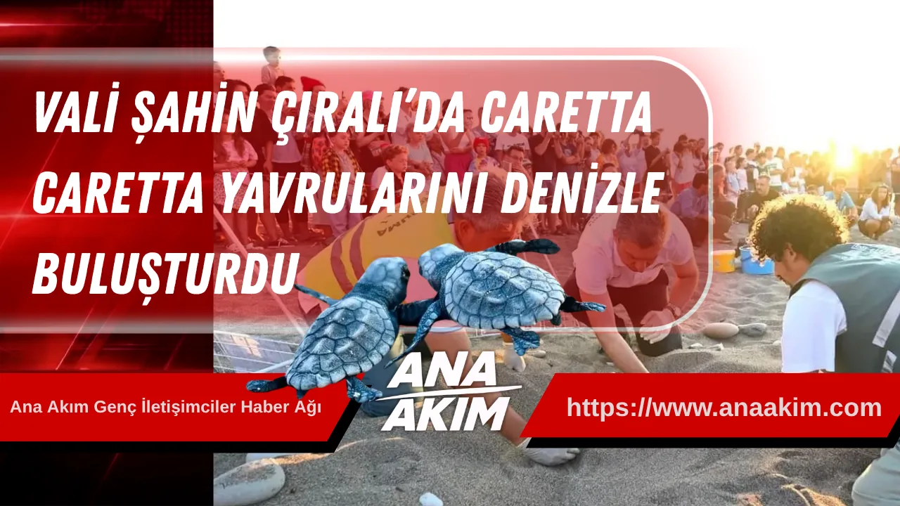 Vali Şahin Çıralı’da Caretta Caretta Yavrularını Denizle Buluşturdu