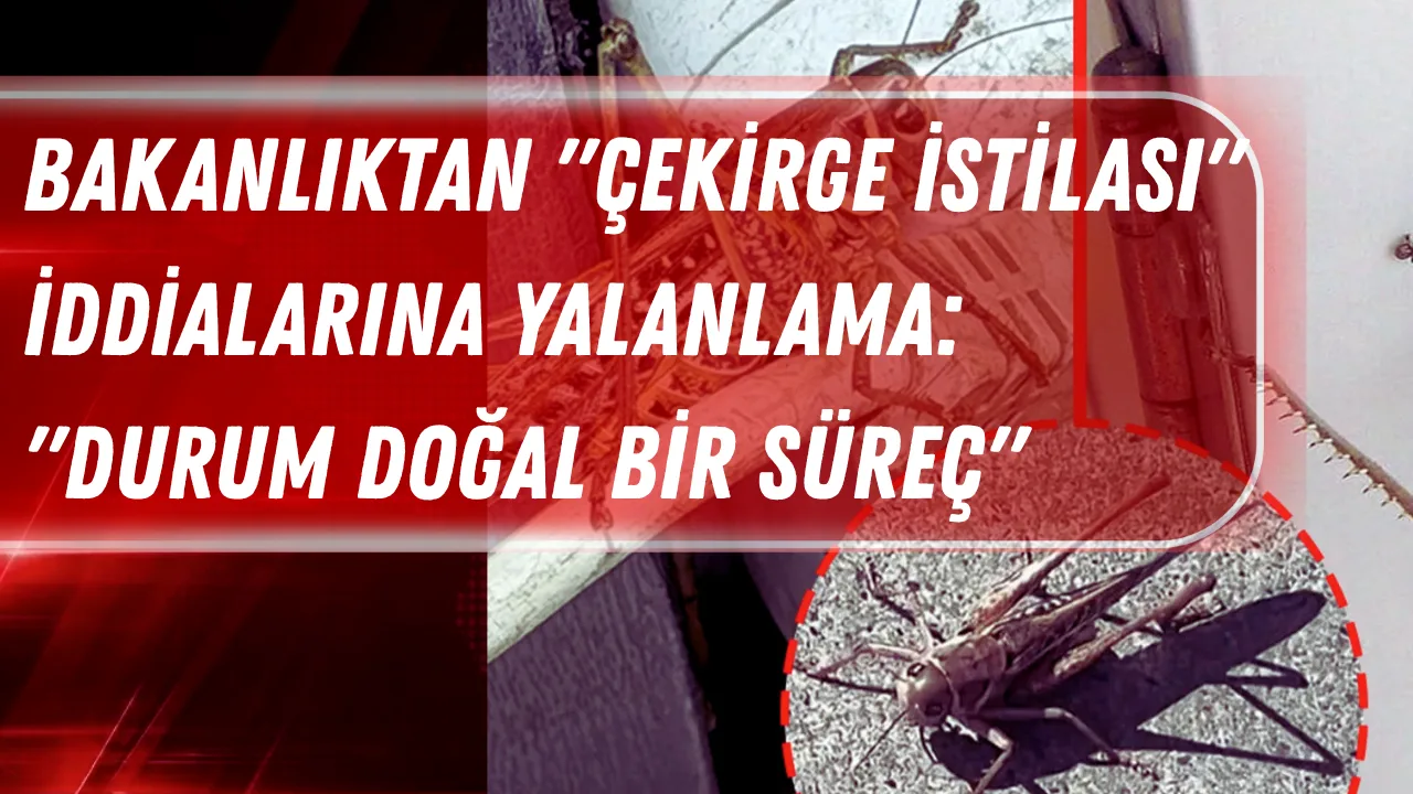 Bakanlıktan "Çekirge İstilası" İddialarına Yalanlama: "Durum Doğal Bir Süreç"