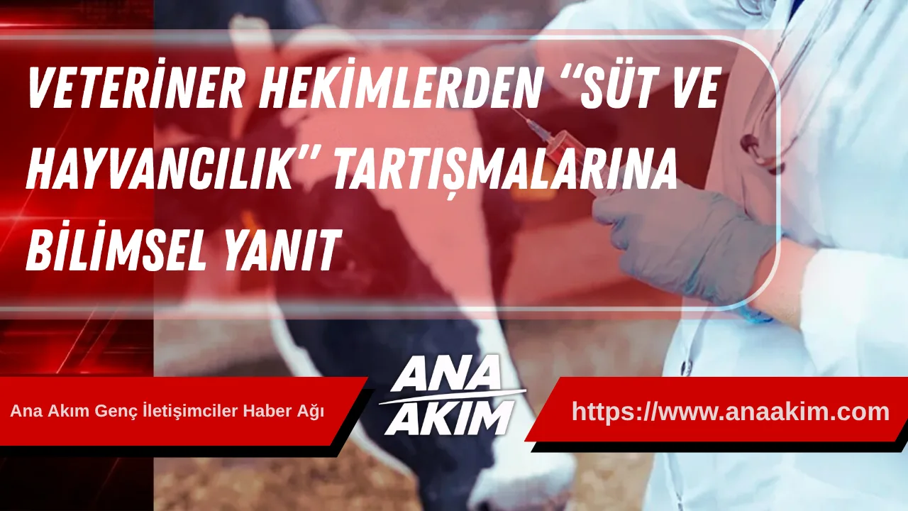 Veteriner Hekimlerden “Süt ve Hayvancılık” Tartışmalarına Bilimsel Yanıt