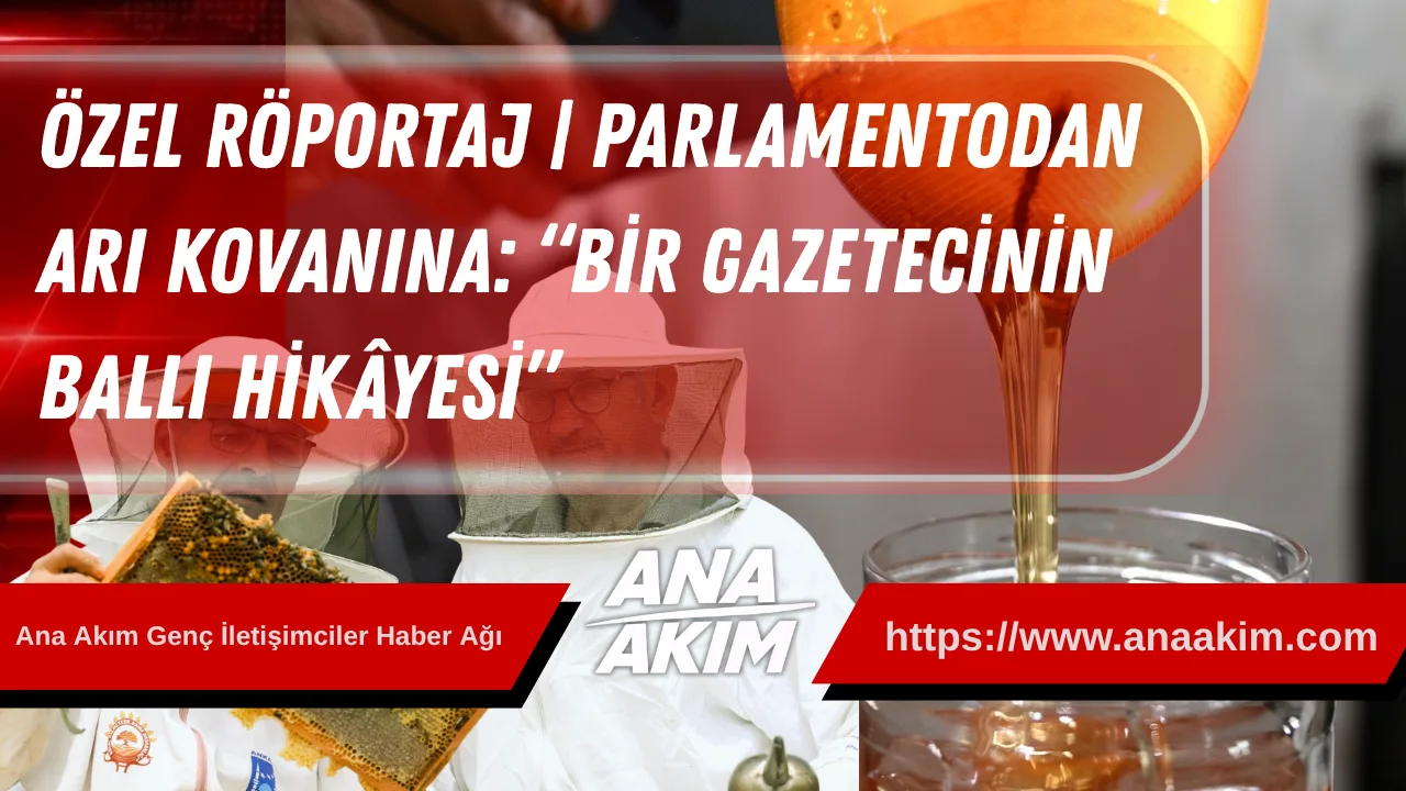 Özel Röportaj | Parlamentodan Arı Kovanına: “Bir Gazetecinin Ballı Hikâyesi”