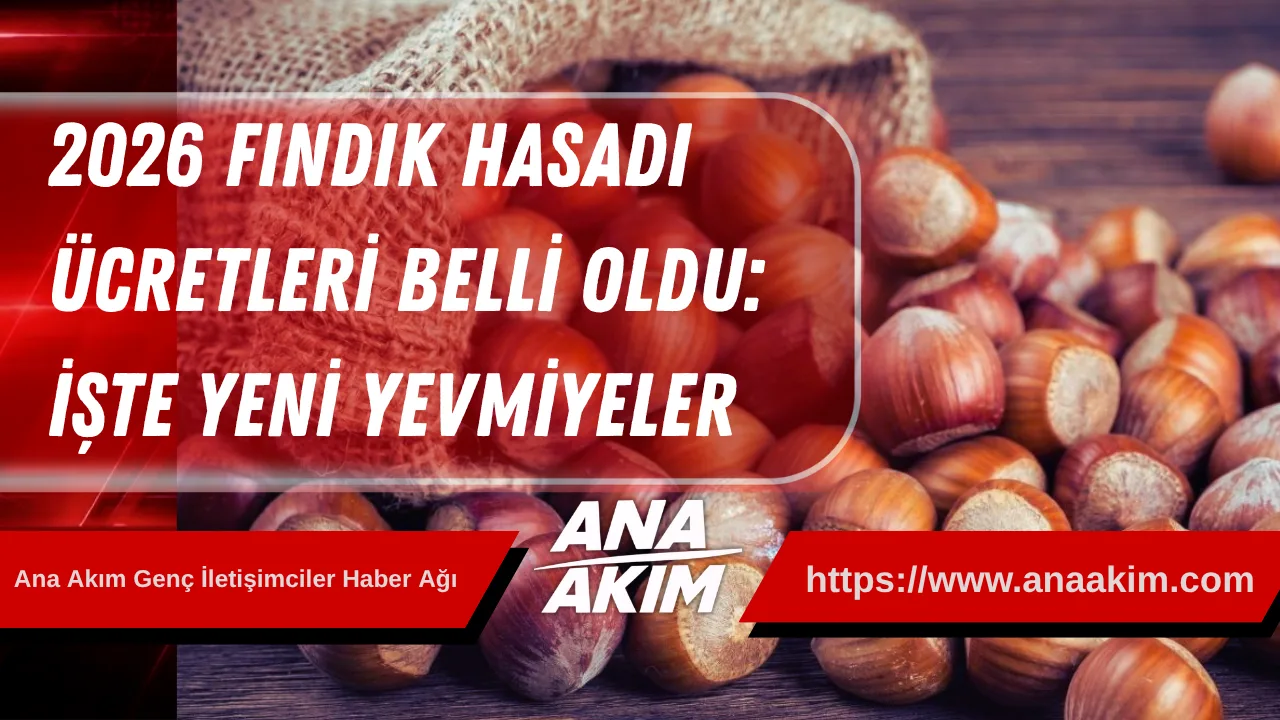 2026 Fındık Hasadı Ücretleri Belli Oldu: İşte Yeni Yevmiyeler