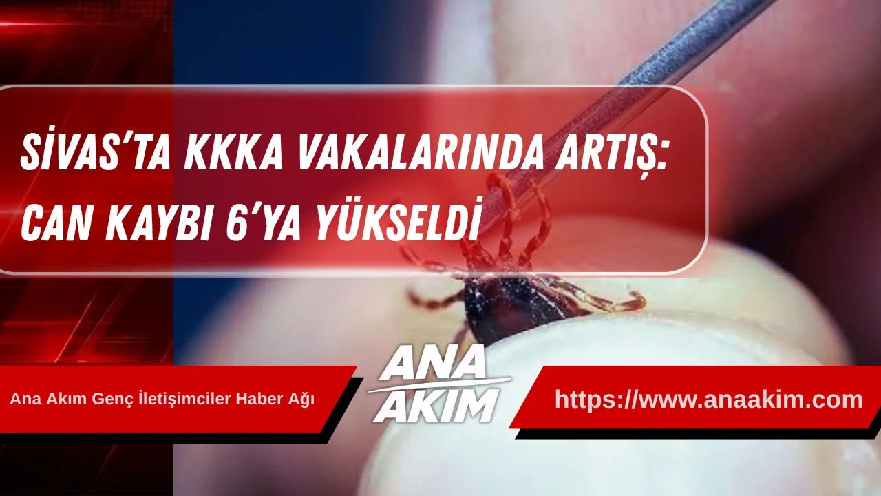 Sivas’ta KKKA Vakalarında Artış: Can Kaybı 6’ya Yükseldi