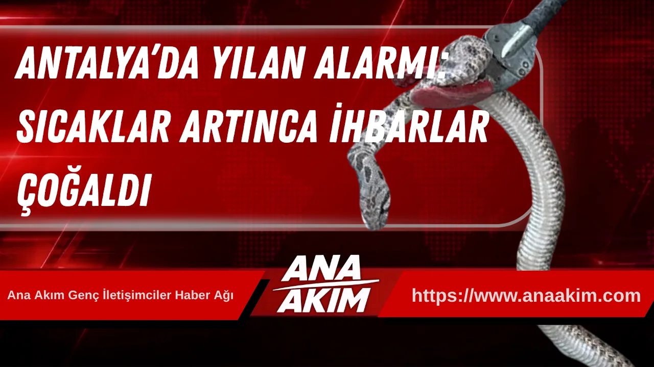 Antalya’da Yılan Alarmı: Sıcaklar Artınca İhbarlar Çoğaldı